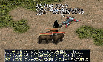 クジャク