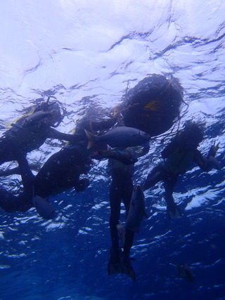 P2210047