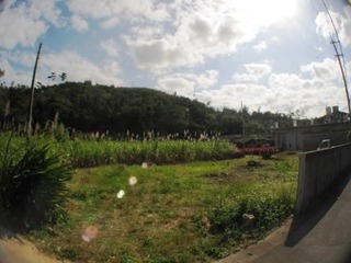 IMG_3021