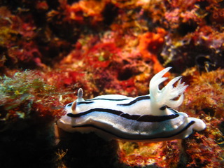 IMG_0230