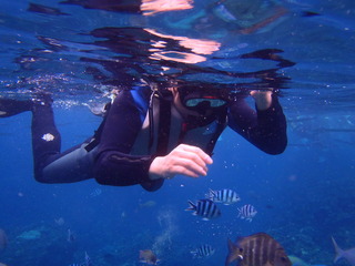 P1150016