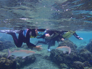 P1070040