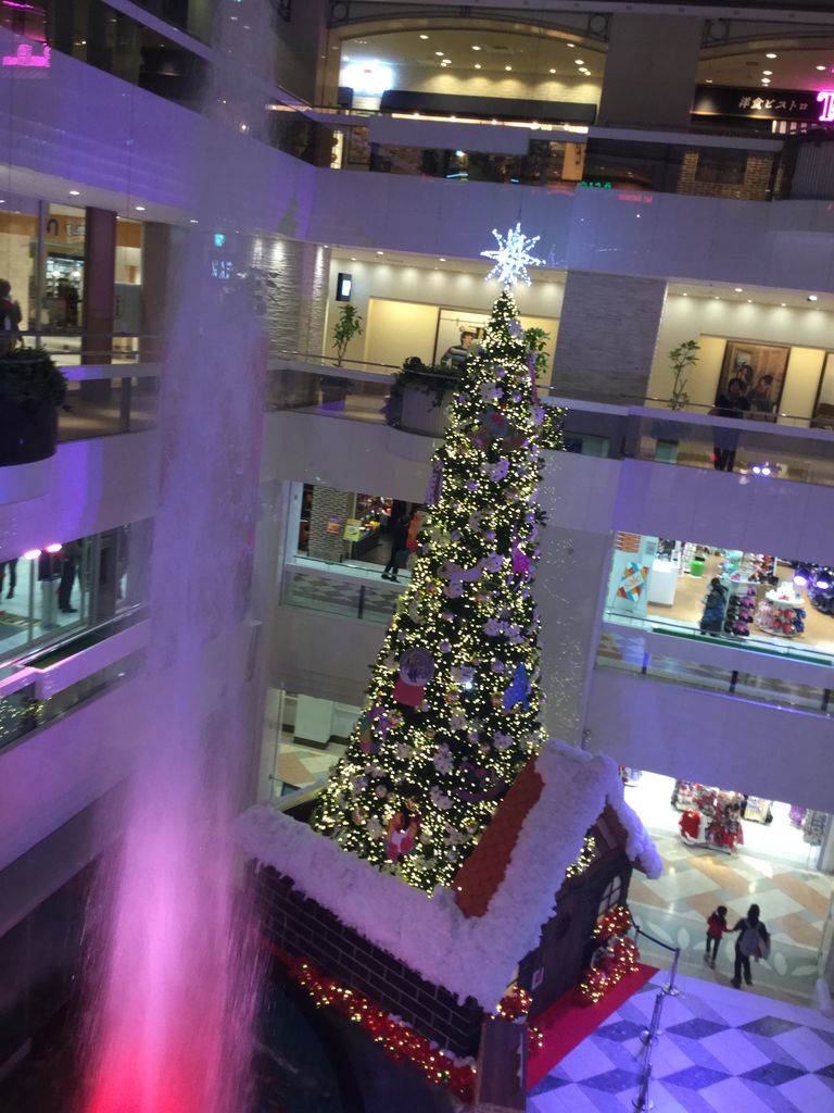 20141222200718_IMG_0065
