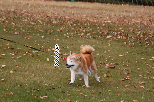 2012-11-29-5.jpg