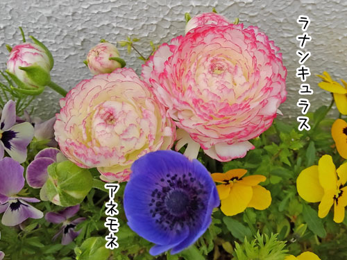 2018-4-12-1