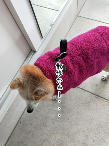 2019-4-12-1