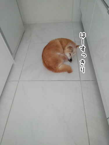 2018-9-12-3