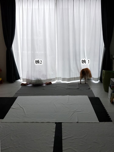 2019-2-26-1