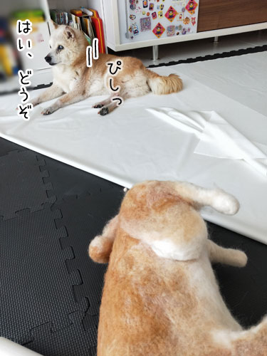 2019-5-8-2