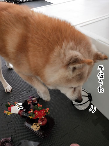 2019-3-8-2
