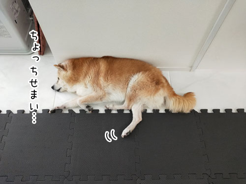 2019-4-14-4