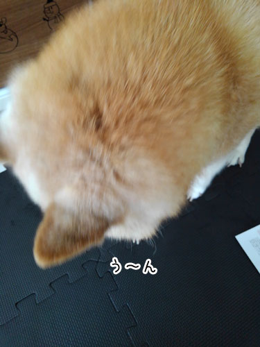 2018-5-13-3