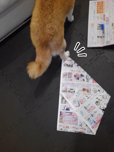 2018-3-7-4