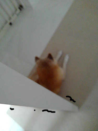 2018-6-19-2