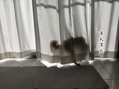 2019-2-8-2