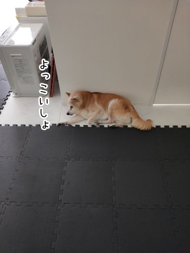 2019-4-14-1
