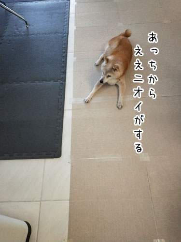 2019-1-2-1