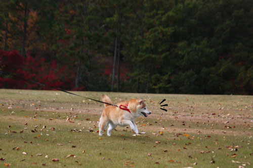 2012-11-29-3.jpg