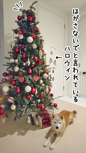 2016-11-12-2.jpg