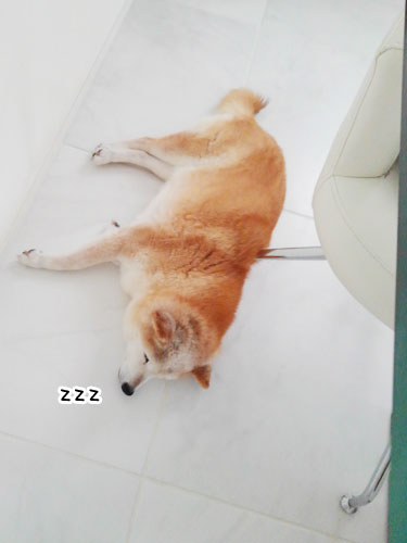 2017-9-12-1