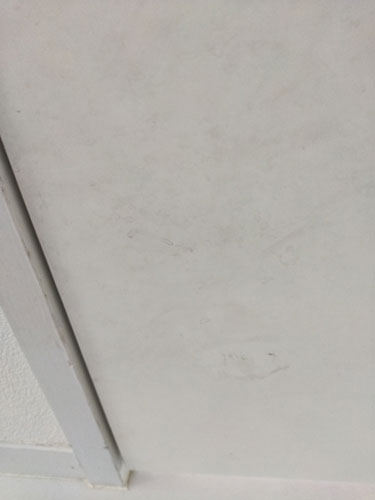 2019-5-13-2