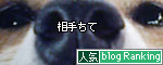 人気ブログランキングへ