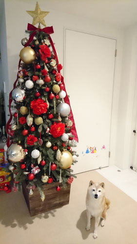 2016-12-21-2.jpg