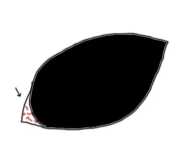2017-8-10-5