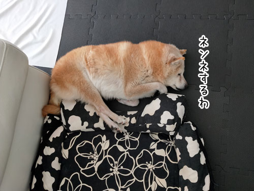 2019-3-10-3