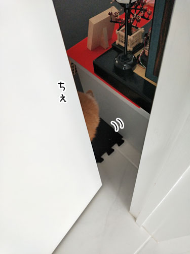 2019-2-27-4