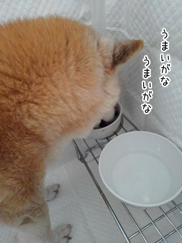 2018-4-10-4