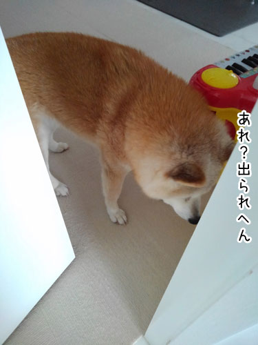 2018-4-11-2