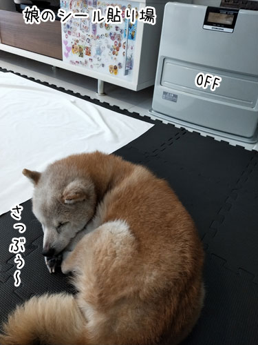 2019-3-11-3