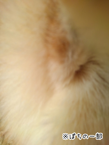 2018-2-7-3
