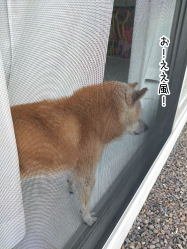 2019-5-14-1