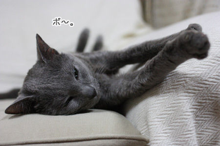 ¤ª¤È¥Ë¥ã¥ó¤À¤â¤ó¤Í¡£