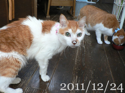 2012020101