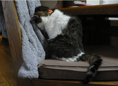 20120302