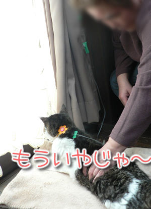 20111206