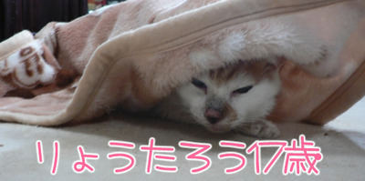 2012013003