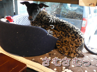 2011121604