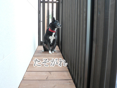2011120803