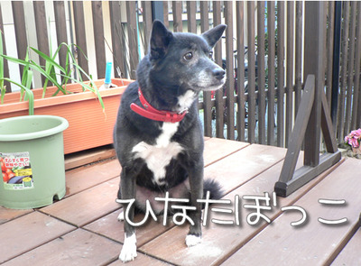 2011120801