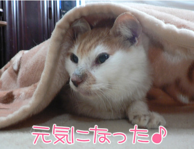 2012013004
