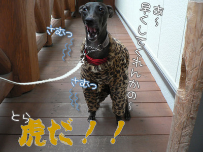 2011121606