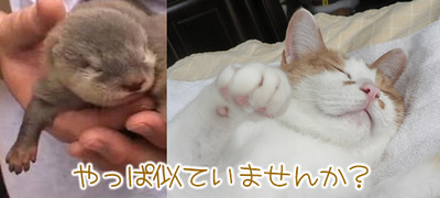 201110012