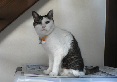 20120305
