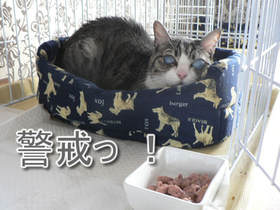 2012013002