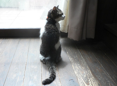 20120303