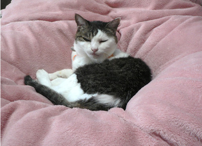 20120306